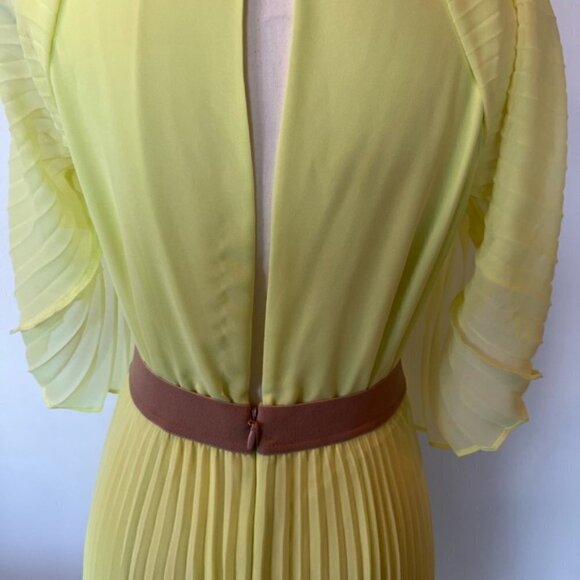 Bcbgmaxazria Shaina Sleeveless Pleated Gown - Picture 3 of 14
